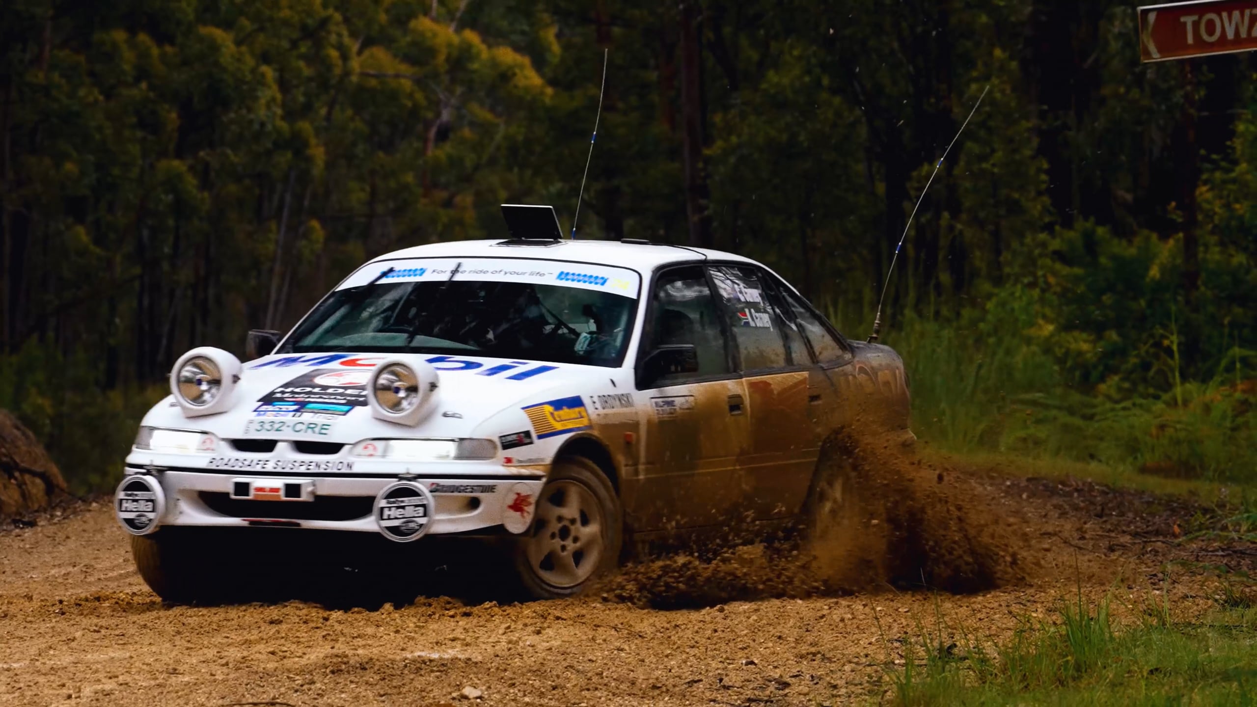Alpine Rally